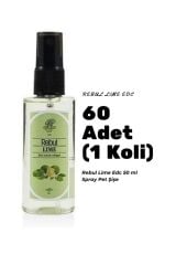 Rebul LIME Edc 50ml Sprey Pet Şişe 60 Adet (1 koli) LIME Kokulu Kolonya