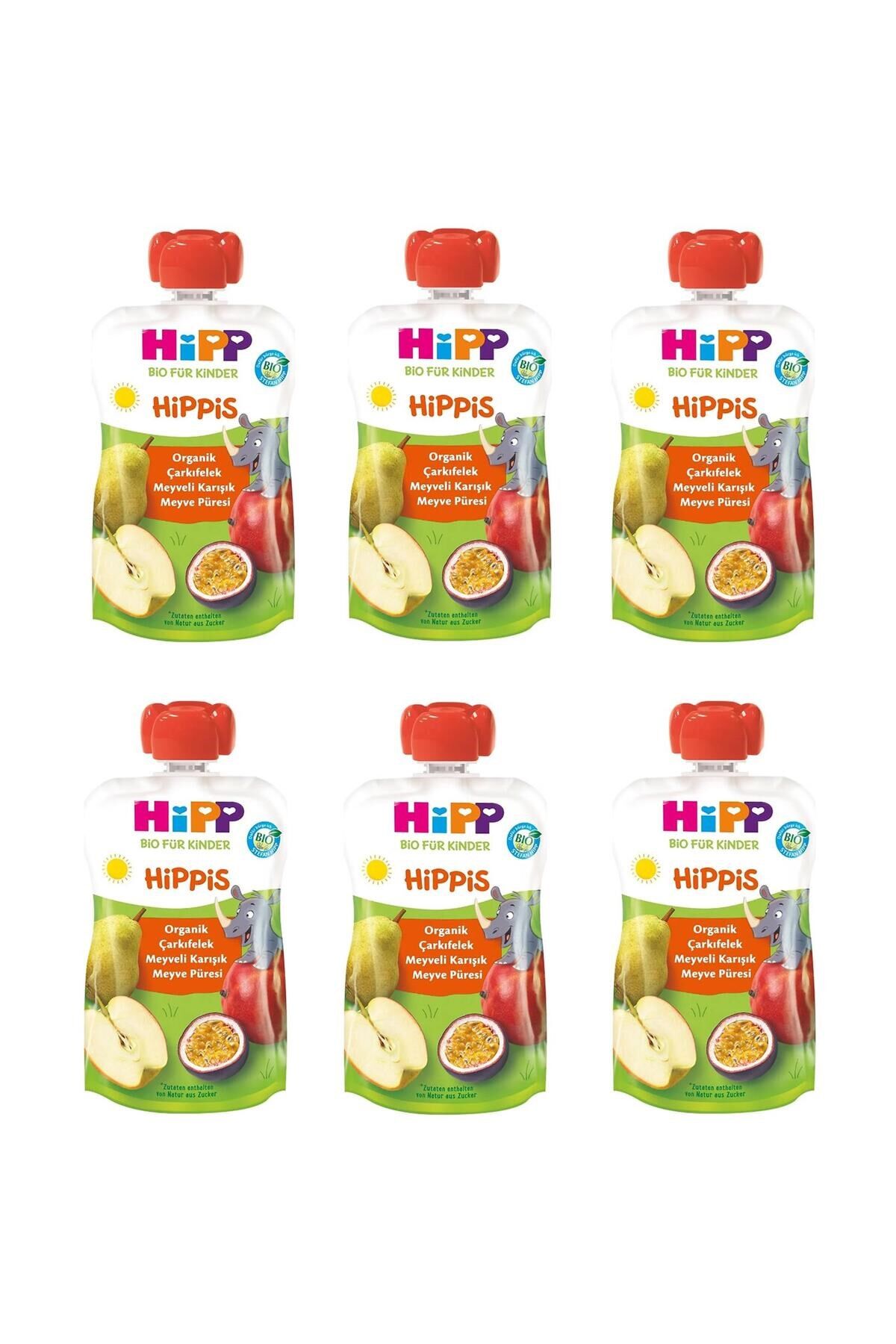 HiPP Organik Çarkıfelek Meyveli Karışık Meyve Püresi 100 gr 6 Adet