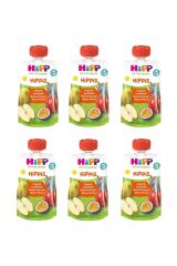 HiPP Organik Çarkıfelek Meyveli Karışık Meyve Püresi 100 gr 6 Adet