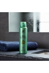 Rebul Pine Forest Erkek Sprey Deodorant 150 ml - 48 Saat Etkili, Alkol, Tam Koruma
