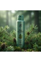 Rebul Pine Forest Erkek Sprey Deodorant 150 ml - 48 Saat Etkili, Alkol, Tam Koruma